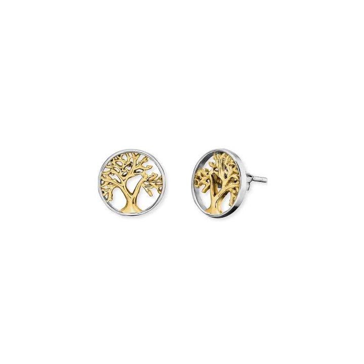 Angel Whisperer Tree of Life Earrings Gold Plated